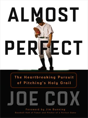 cover image of Almost Perfect